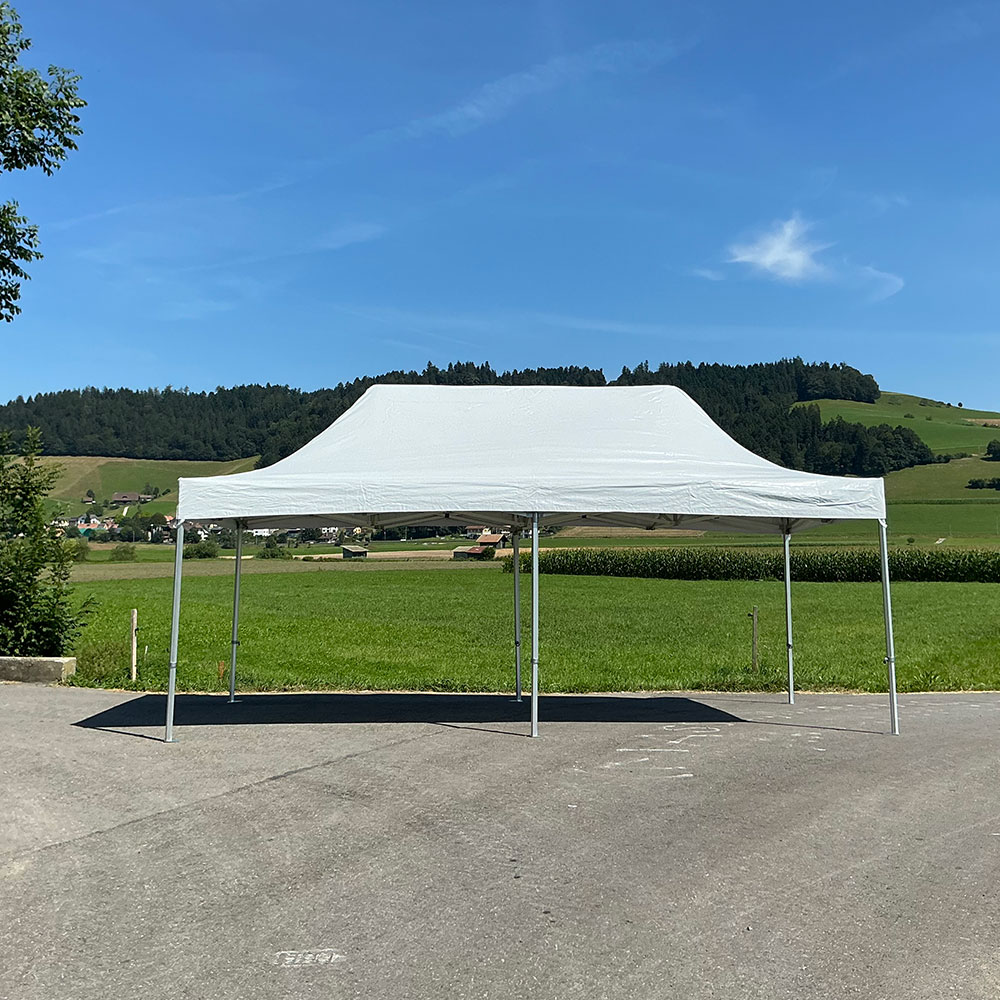 Profi Pavillon 3 x 6 m